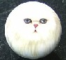 CERAMIC CABINET KNOB CAT CATS KITTEN chinchilla