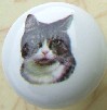 CERAMIC CABINET KNOB CAT CATS KITTEN TABBY 