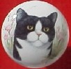 CERAMIC CABINET KNOB CAT CATS KITTEN BLACK white