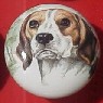 www.knobsrusny.com Beagle border terrier boxer cabinet knobs