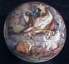 cabinet knob boxer