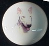 cabinet knob american bull terrier