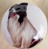 ceramic cabinet knob pappilon