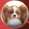 ceramic cabinet knob pappilon
