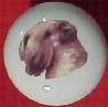 ceramic cabinet knob wheaton terrer 