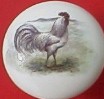 Cabinet Knob Grey white Rooster 