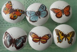 Cabinet Knob Butterfly Butterflies