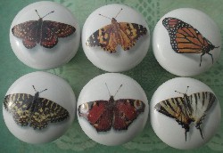 Cabinet Knob Butterfly Butterflies