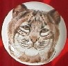 CERAMIC CABINET KNOB KNOBS  WILDLIFE BOBCAT LYNX